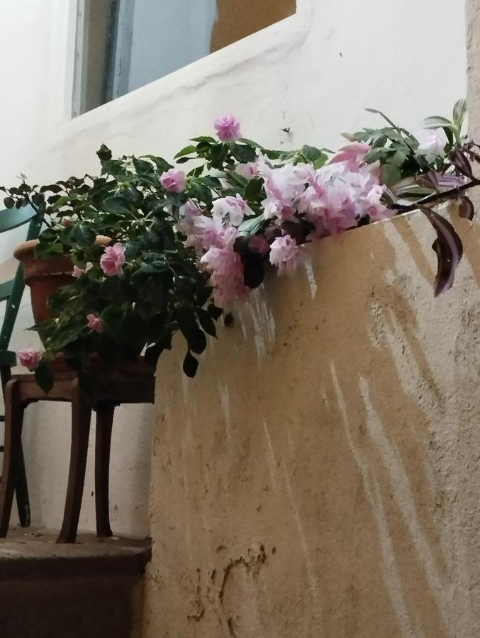 Um Quarto Da Casa Do Monte 维拉弗兰卡杜坎普 外观 照片
